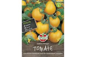 Tomaten. Goldene Königin
