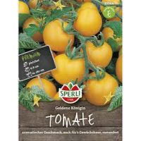 Tomaten. Goldene Königin