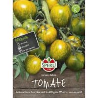 Tomaten. Green Zebra