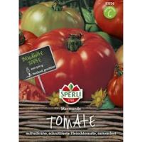 Tomaten. Marmande