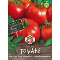 Tomaten. Shady Lady
