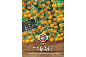 Tomaten. Sungold