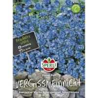 Vergissmeinnicht. Blau Ball
