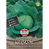 Weißkohl. Brunswick