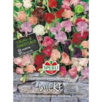Wicken. Gigantea Mischung
