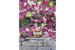 Wicken. Sommerduft