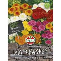 Winterastern. Fiambre Mix