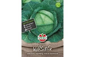 Wirsingkohl. Vertus 2