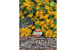 Würz-Tagetes Hot Mexican