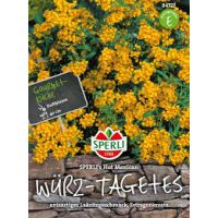 Würz-Tagetes Hot Mexican