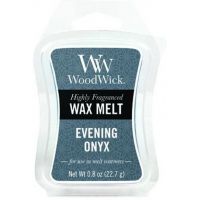 WW Evening Onyx Mini Wax Melt
