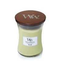 WW Willow Medium Candle