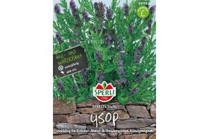 Ysop. SPERLING´s Dufti