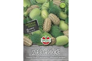 Ziergurken Mekkie - Mix