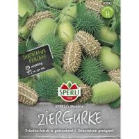 Ziergurken Mekkie - Mix