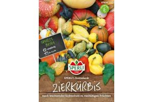 Zierkürbis. Erntedank Mix