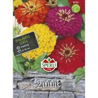 Zinnien. Kaliforn.Riesen Mix