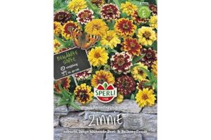 Zinnien. Perserteppich Mix