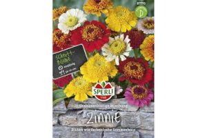 Zinnien scabiosenbl.Mix