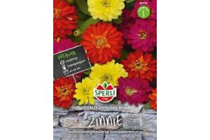 Zinnien Sperli's Zauberball
