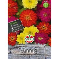 Zinnien Sperli's Zauberball