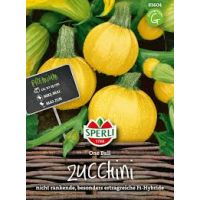 Zucchini. One Ball