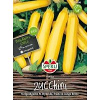 Zucchini Orelia