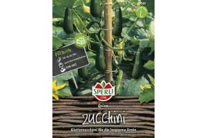 Zucchini Quine