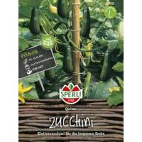 Zucchini Quine