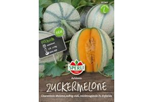 Zuckermelone Artémis
