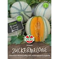 Zuckermelone Artémis