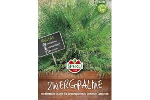 Zwergpalme.Tropenzauber