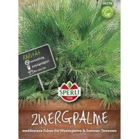 Zwergpalme.Tropenzauber