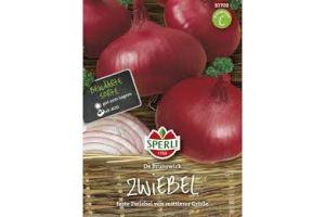 Zwiebeln. Brunswijker. rote